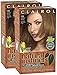 Clairol Natural Instincts Hair Color, [6.5G] Lightest Golden Brown 1 Each (Pack of 2)
