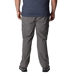 Columbia Men's Silver Ridge Cargo Pant, City