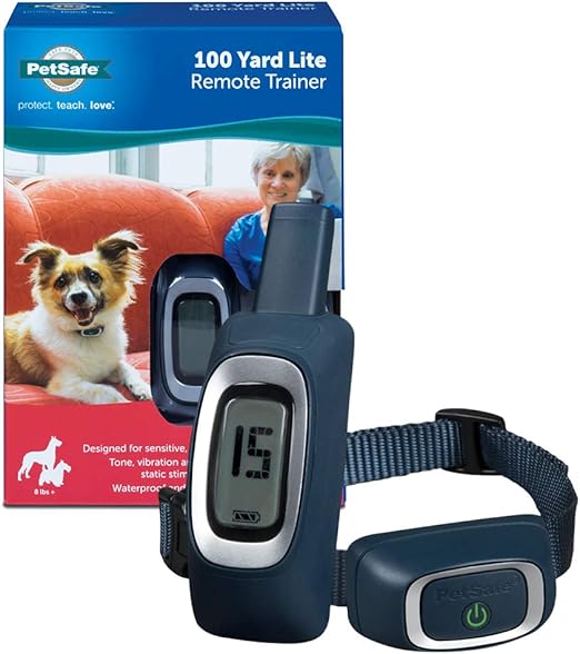 patterdale terrier puppies for sale near me