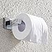 FAUMIX Bathroom Toilet Paper Holder Stainless Steel Wall Mount Tissue Dispenser Roll Paper Holder - Chrome