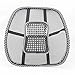 PrimeTrendz Black Lumbar Mesh Back Brace Support Office Home Car Seat Chair Ventilate Cool Cushion Pad with Massage | Breathable, Massage Beads for Ultimate Comfort (1 Piece)
