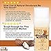 PRIMAL PIT PASTE Deodorant Stick Royal Rogue Natural, 2 OZ