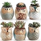 SUN-E 6 In Set 2.5 Inch Owl Pot Ceramic Flowing Glaze Base Serial Set Succulent Plant Pot Cactus Plant Pot Flower Pot Container Planter Bonsai Pots With A Hole Perfect Gife Idea