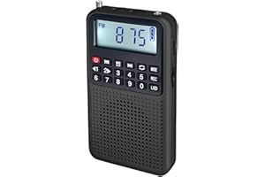 Portable Radio Bluetooth Speaker - FM/AM Radio, TF Card Player & Voice Recorder with LED Flashlight