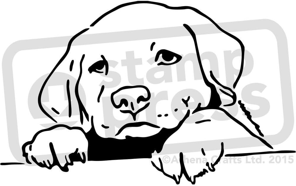 Amazon.com: A4 'Puppy Dog' Wall Stencil / Template (WS00000489)