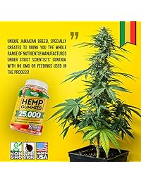 Hemp Gummies 25000 MG - Made in USA - 277 MG Hemp in Each Gummy - Premium Hemp Extract - CO2...