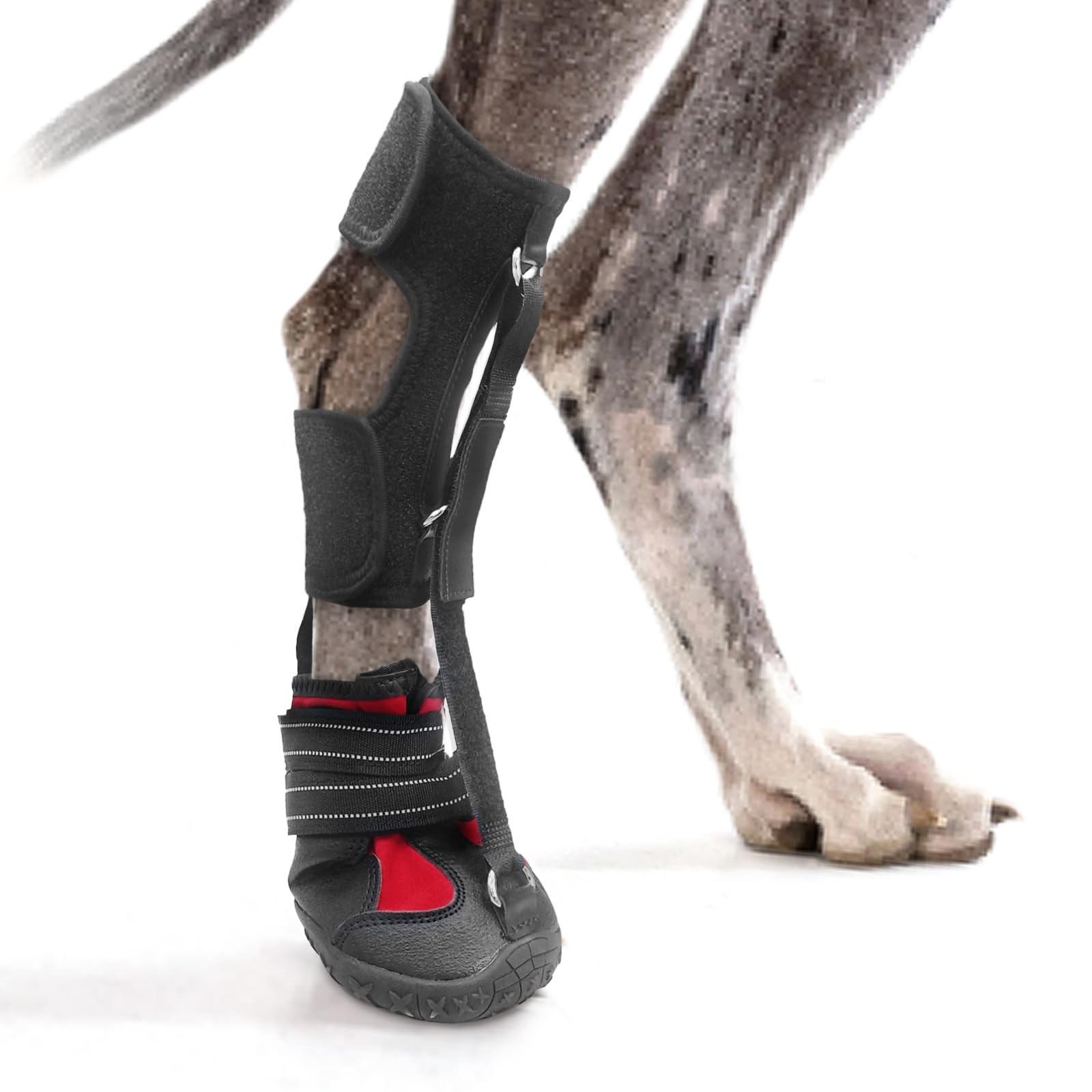 Photo 1 of Strap-On Drop Foot Brace (No Knuckling Boot Brace) for Dogs— Corrective Dog Shoes to Safely Lift Toes for Foot Issues, Arthritis, and improving Walking gait in Dogs, Patent Pending(XL)