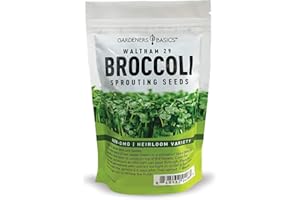 Gardeners Basics, Broccoli Seeds for Sprouting Kit and Microgreens Non-GMO, Heirloom Bulk 1 Pound Resealable Sprouts Bag