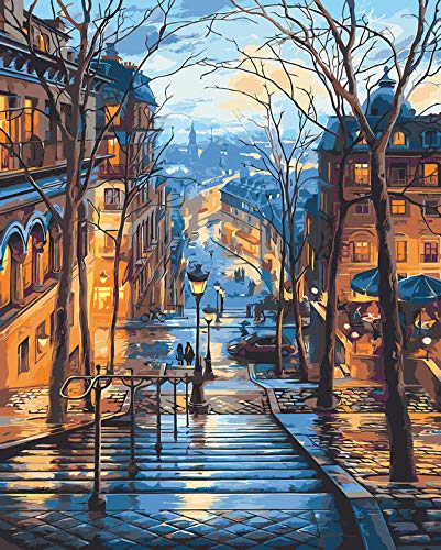 DIY Paint by Numbers Kit 16"x 20" DIY Oil Coloring by Numbers Drawing Paintwork with Paintbrushes Acrylic Pigment Canvas Paint Art Pictures Oil Painting Set for Adults,Beginner