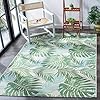 SAFAVIEH Barbados Collection 5'3" x 7'6" Green / Teal BAR592X Tropical Botanical Indoor/ Outdoor Non-Shedding Easy Cleaning Patio Backyard Porch Deck Mudroom Area Rug 61R4WgFFqjL