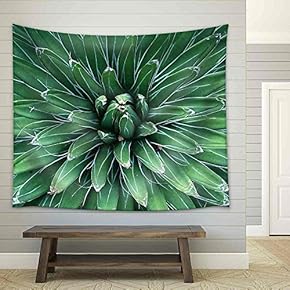 Sharp Pointed Agave Plant Leaves - Fabric Wall Tapestry Home Decor - 51x60 inches