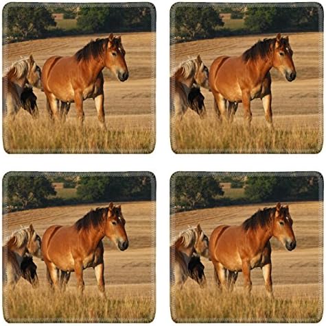 MSD Square Coasters Non-Slip Natural Rubber Desk Coasters design: 11376494 Nature in south Sweden in the province of Sk ne horses on a field