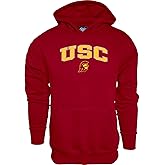 Blue 84 NCAA unisex-adult Hoodie Kids Arch Over Team Color