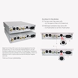 Musician Pegasus R2R DAC Decoder DSD1024 PCM1536