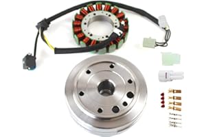 FIWARY Flywheel Kit Stator Gasket Charging System Restoration Critical Components for Arctic Cat 400 ATV Eiger LTA LTF 400 2002-2007 OE 32101-38F01 32102-38F00