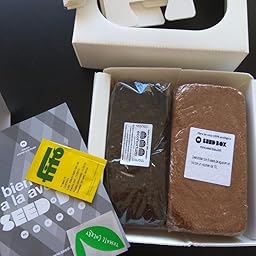 SeedBox SBCUHB-Hierba Buena: Amazon.es: Jardín