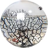 Glass Self Sustaining Shrimp Ecosphere Extra Large