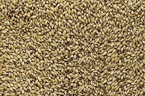 Malt Brewers Malt 2-Row (50 lb Sack), New Type
