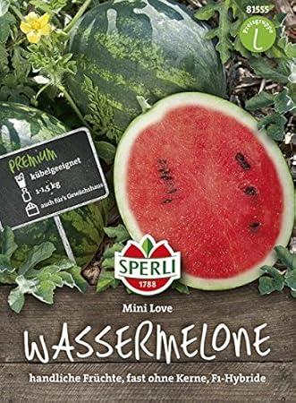 Wassermelone, Mini Love, Citrullus lanatus