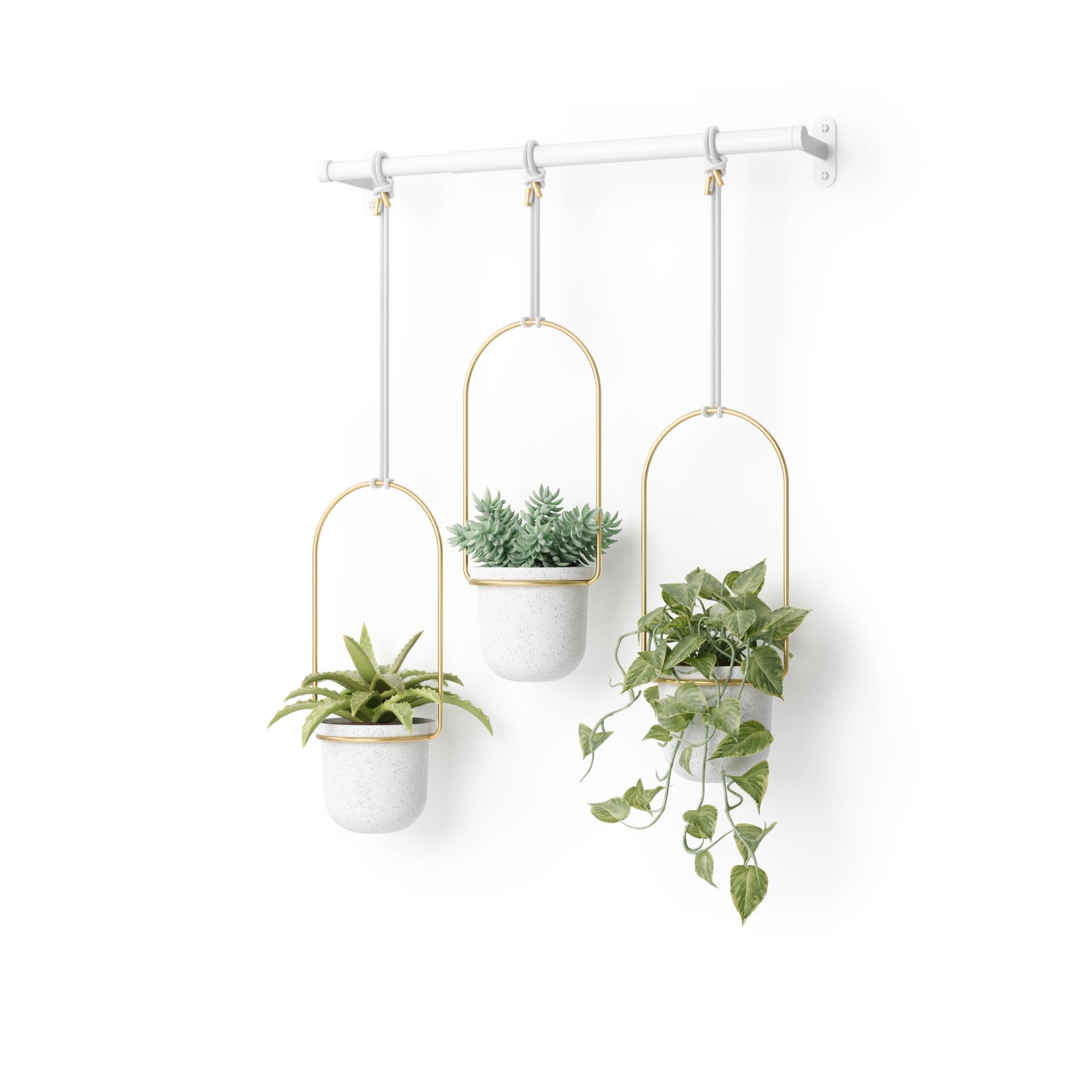 Umbra Hanging Planters for Indoor Plants or Herbs, Stainless Steel, White/Brass, 3 Pots