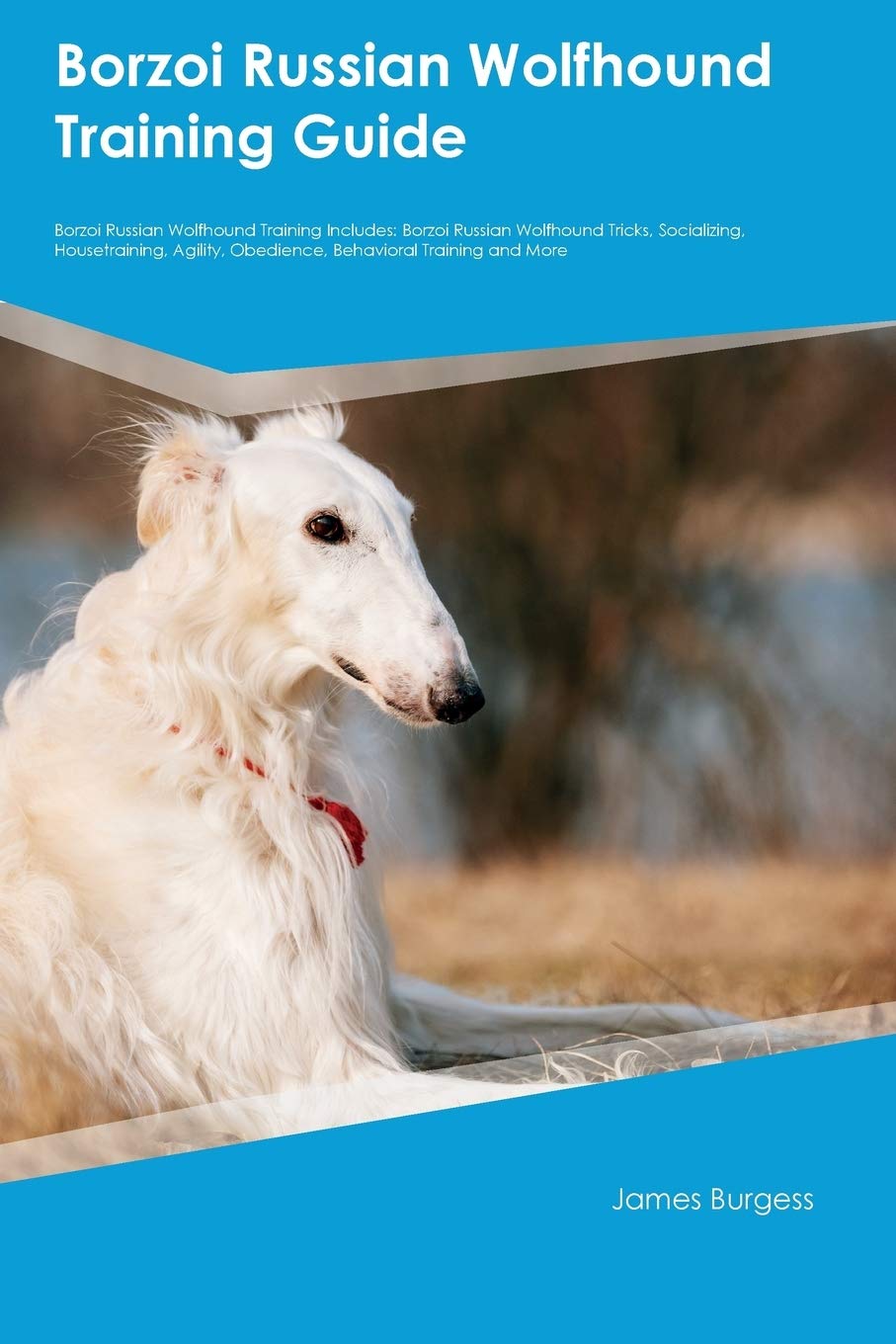 borzoi agility