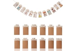 OOTSR 1st Birthday Photo Banner Growth Record 1-12 Month Photo Prop for First Birthday Party Bunting Decor