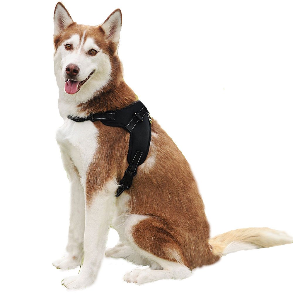 Mr Dog Best Dog Harness Vest No Pull Dog Harnesses Desertcart