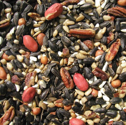 Cole's SF20 20 Pound Special Feeder Seed