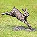 SPI Home Cast Aluminum Running Rabbit Garden Sculpture 15 Inches Long