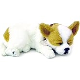 Perfect Petzzz Plush Dog Chihuahua, Item Number: 4906