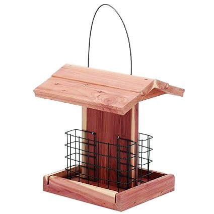 Backyard Birding Wildlife Homes Garden Suet Wild Bird Feeder