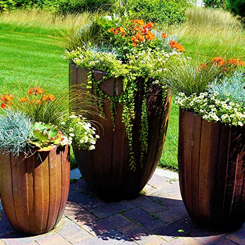 Jobe's, 06105 Fertilizer Spikes, Potted Plants and Hanging Baskets, 18