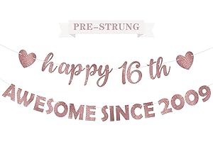 Eucutur Pink Rose Gold 16th Party Decorations for Girls Women, Pre-Strung Giltter Awesome Since 2009 16th Birthday Banner Party Supplies, Sixteen Years Old Hanging Banner Photo Props Decor Sign