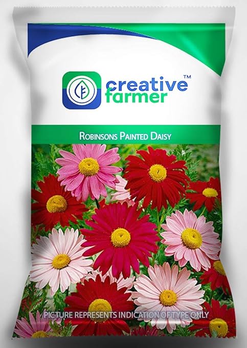 OhhSome Flower Seeds For Pots- Robinsons Painted Daisy Flower Seeds For Gardening - 1 Packet - Eco