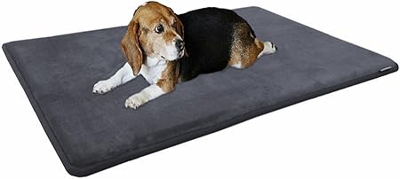 foam mats for dogs