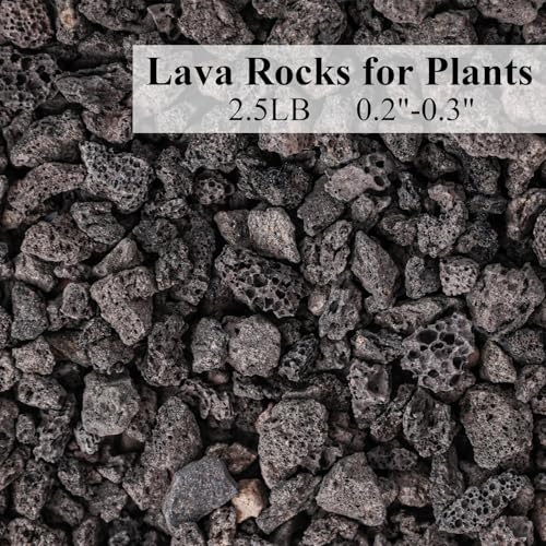 JOHOUSE 2.5 LB Black Horticultural Lava Rocks, Lava Rocks for Plants Natural Horticultural Volcanic Rocks for Succulents Bonsai Vase Fillers Garden