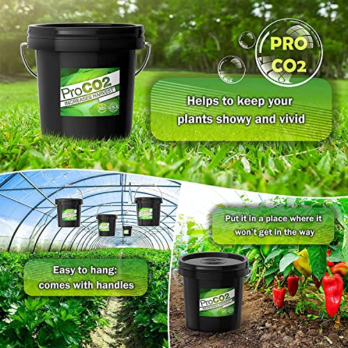 ProCO2 XL Bucket CO2 Generator Ready to Use Carbon Dioxide Boost