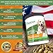 Primova - Advanced Dog Hip and Joint Calming Treats with Hemp Oil, Turmeric, Green Lipped Mussel, and Coconut Oil, Calming Chews for Dogs, Improves Mobility and Reduces Discomfort, 120 Soft Chews