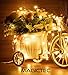 Magictec Solar String Lights, 100 LEDs Starry String Lights, Copper Wire Solar Lights Ambiance Lighting for Outdoor, Gardens, Homes, Dancing, Christmas Party 2 Pack