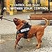 Pawaboo Service Dog Vest Harness + Dog Leash, Premium Durable Reflective Dog Vest Harness with 2 Reflective Removable Velcro Patches + 19