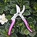 Professional Stainless Steel hand pruner, Pruning scissors, Best Plant Cutter, Garden Pruners, Efficient Hedge Trimmer, Garden Shears, Flower Cutter, bypass pruner, SK-5 Steel Blade Clippers.