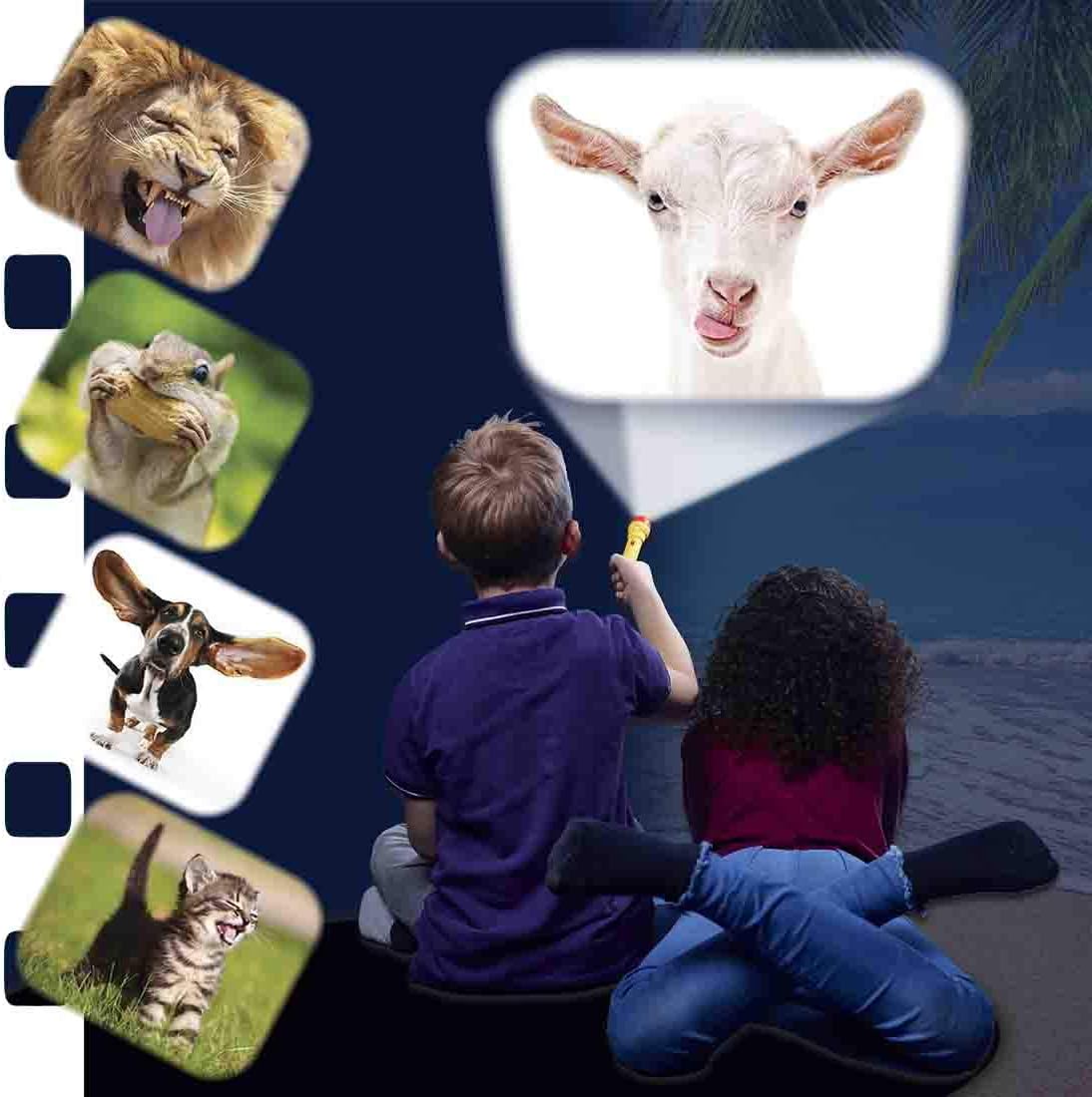 Brainstorm Toys Stem Funny Animals Torch and Projector, 24 Adorable Animal Images, Projects Clear Pictures up to 1 Metre Wide - Image 5