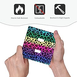 Funky Colorful Leopard Double Toggle Light Switch