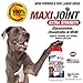The Health Labs - Glucosamine and Chondroitin Chewables for Dogs Hip and Joint Health - 30 Tablets