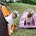 Pup-Tent, PYURS Pet Camp Tent Foldable Dog Bed House for Puppy Dog Kitten Cat