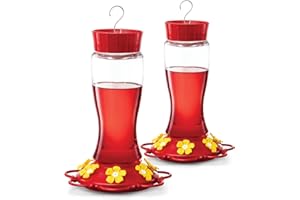 SEWANTA Hummingbird Feeder 20 oz [Set of 2] Glass Hummingbird Feeders for Outdoors, with Built-in Ant Guard - Circular Perch with 5 Feeding Ports - Wide Mouth for Easy Filling/2 Part Base for Easy Cleaning