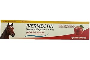 YAGU Paste for Horse Use Only, 1 Pack