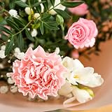 All Occasions Luscious Pinks Bouquet Carnations Freesias Hand Tied Fresh Flowers view 5