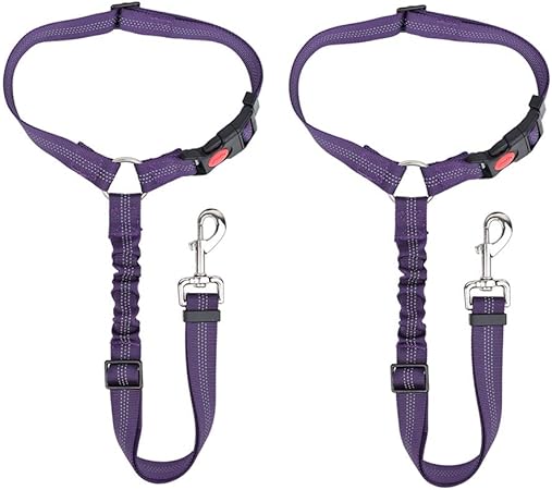 Amazon Com Slowton Dog Seatbelt 2 Pack Pet Car Seatbelt Headrest Restraint Adjustable Puppy Safety Seat Belt Reflective With Elastic Bungee For Cat Dog Harness In Vehicle Travel Daily Use Purple