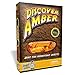 Polish Real Amber in Search of Ancient Insects!